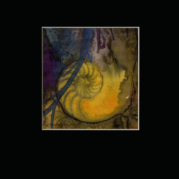 Nautilus Shell 2 In 8x10 Mat - Picture 1 of 2